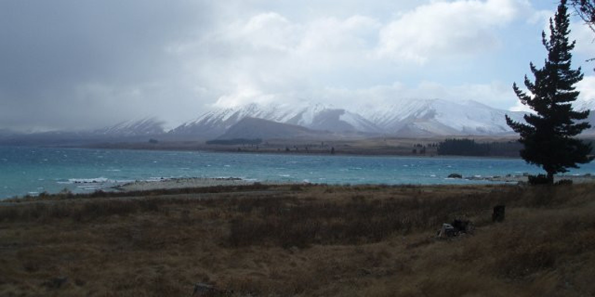 Joe Fortune Casino Review Updated Nov 2025