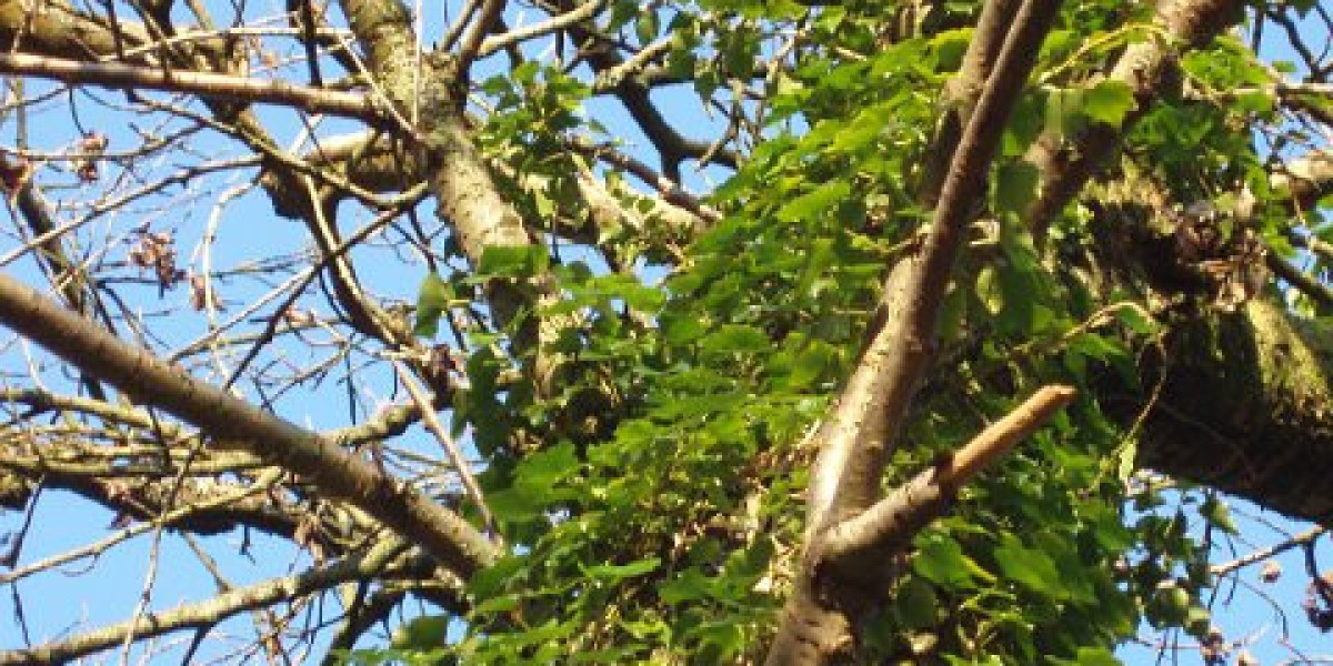 Our 6 Favorite Kyiv Casino Hotels, Ukraine in 2025