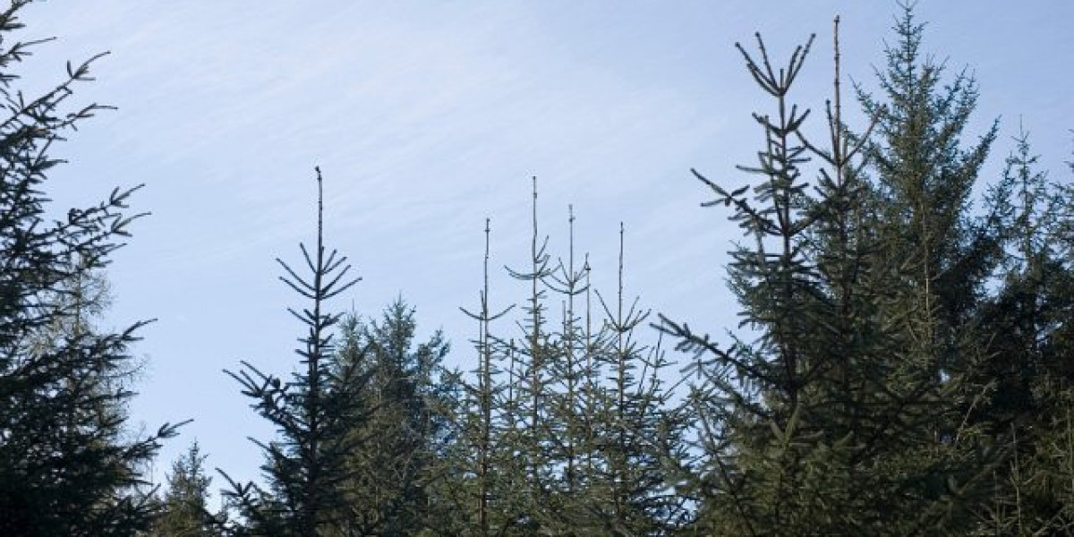 #1 Australian Casino