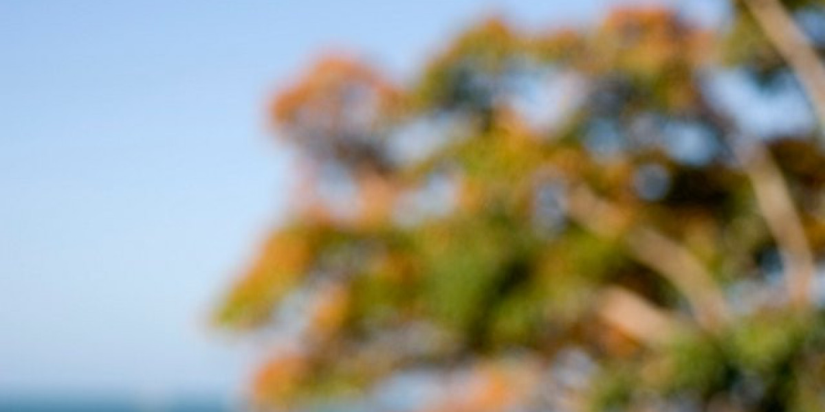 The Clubhouse Casino Review 2025 Play Many Games