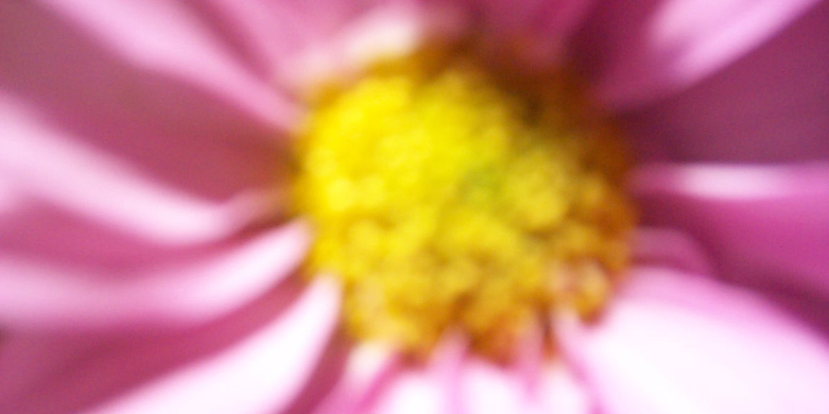 Cashman Casino: Exceptional Online Gaming Experience