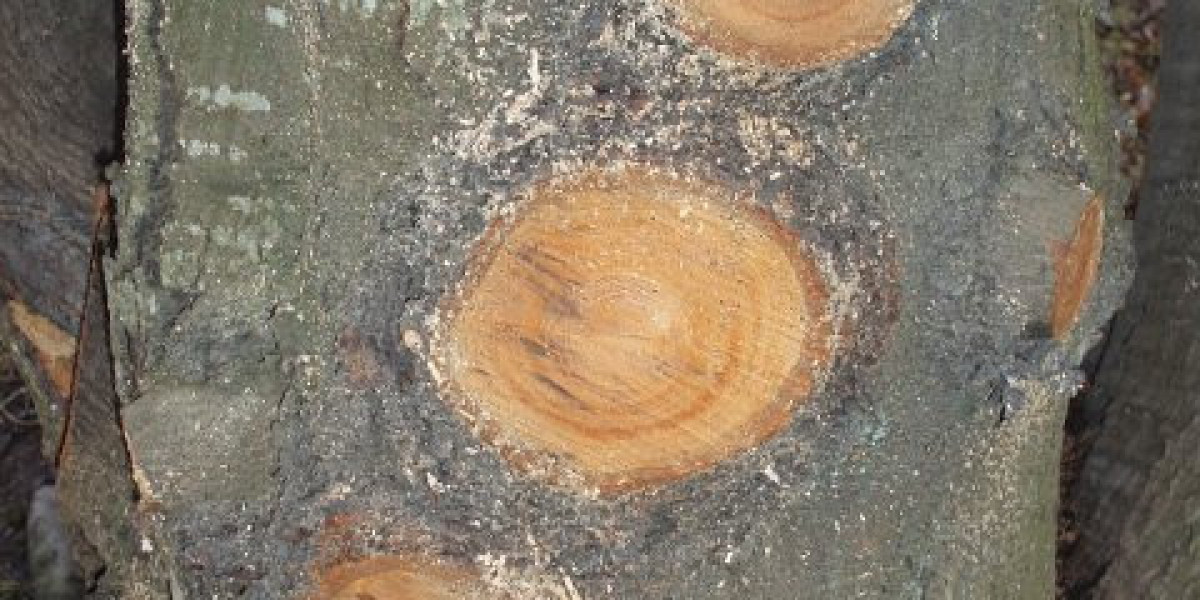 Top Online Casinos 2025 Best Sites & Bonuses Reviewed