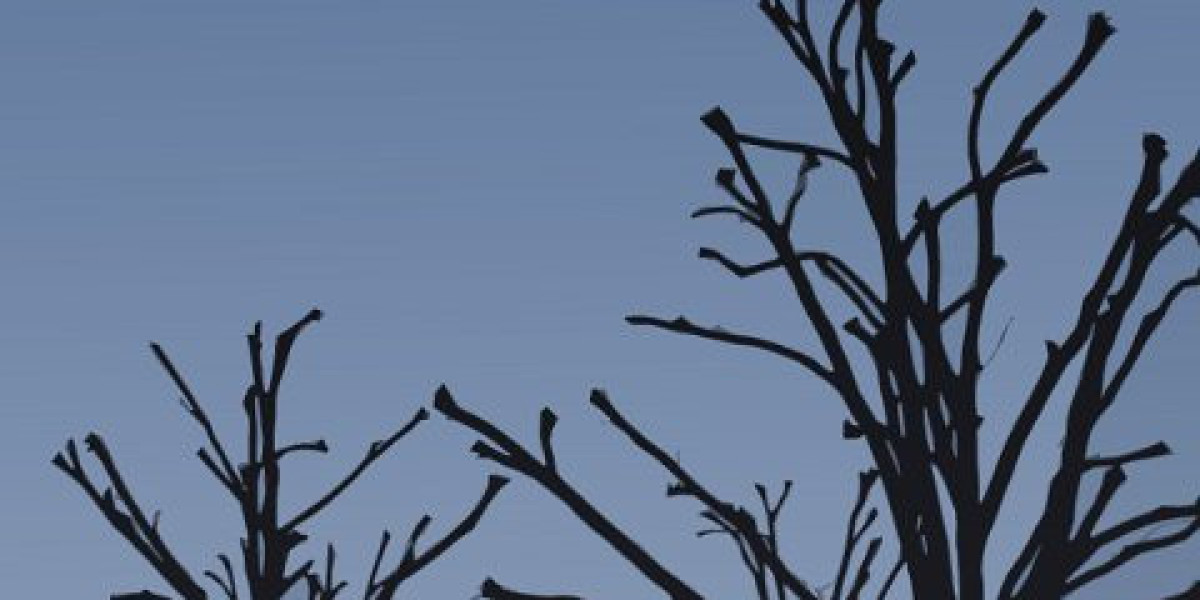 Best Online Casino Sites US Real Money Casinos 2025