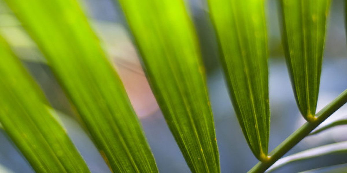 Home Hollywood Park Casino