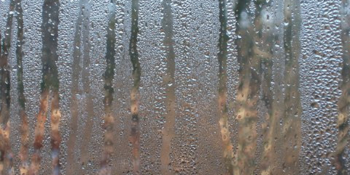 Meet the People Behind the Play