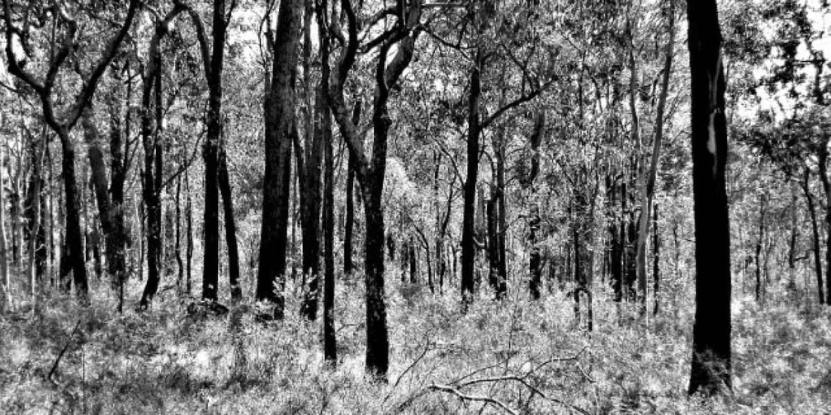 Meet the People Behind the Play