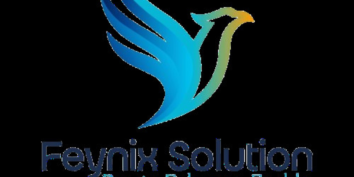Feynix Solution: Empowering Businesses Through Smart Digital Solutions